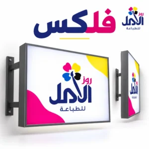 فلكس